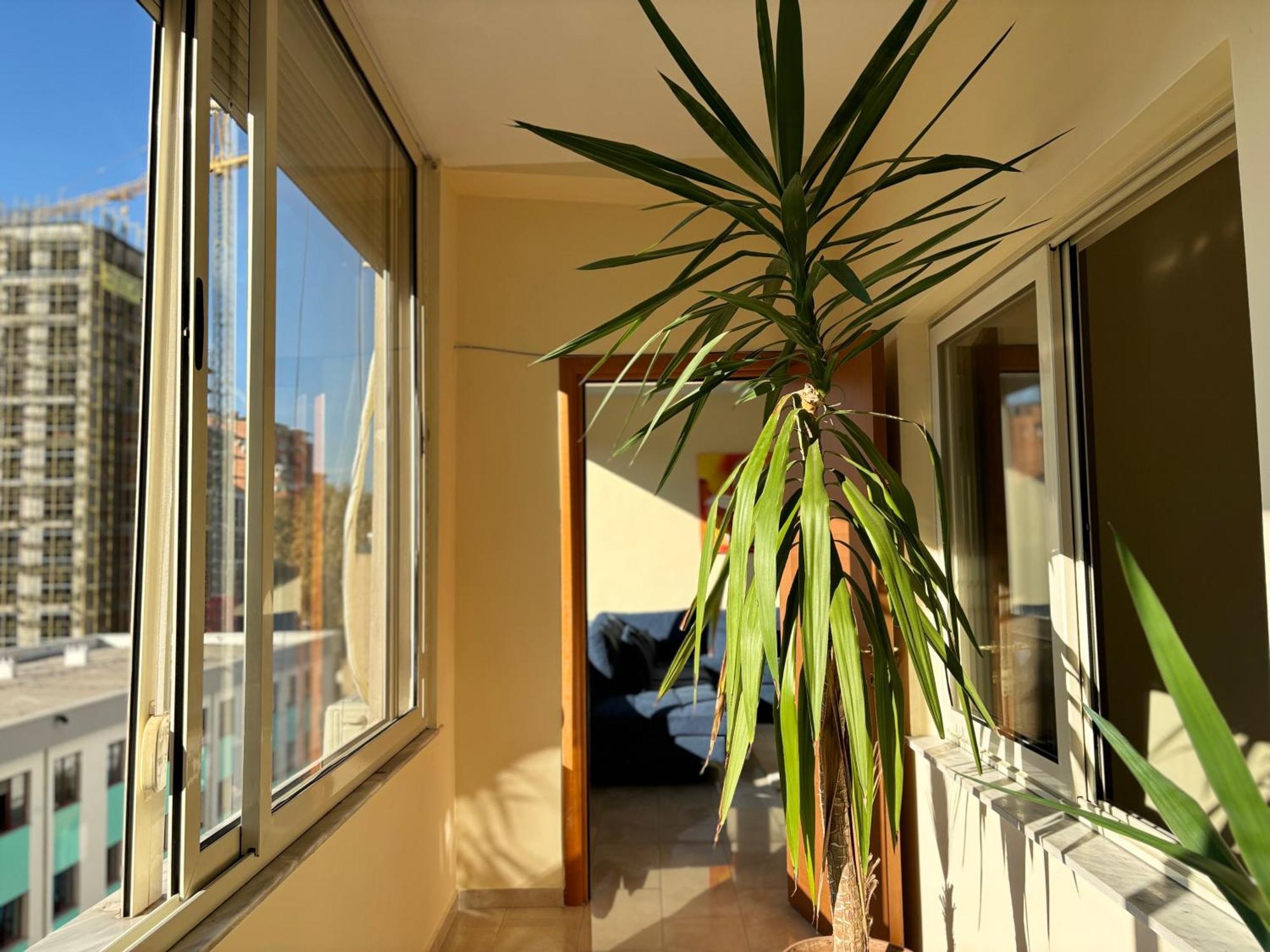 Tam 2Bdr Center Taiwan Apartment Tirana Buitenkant foto
